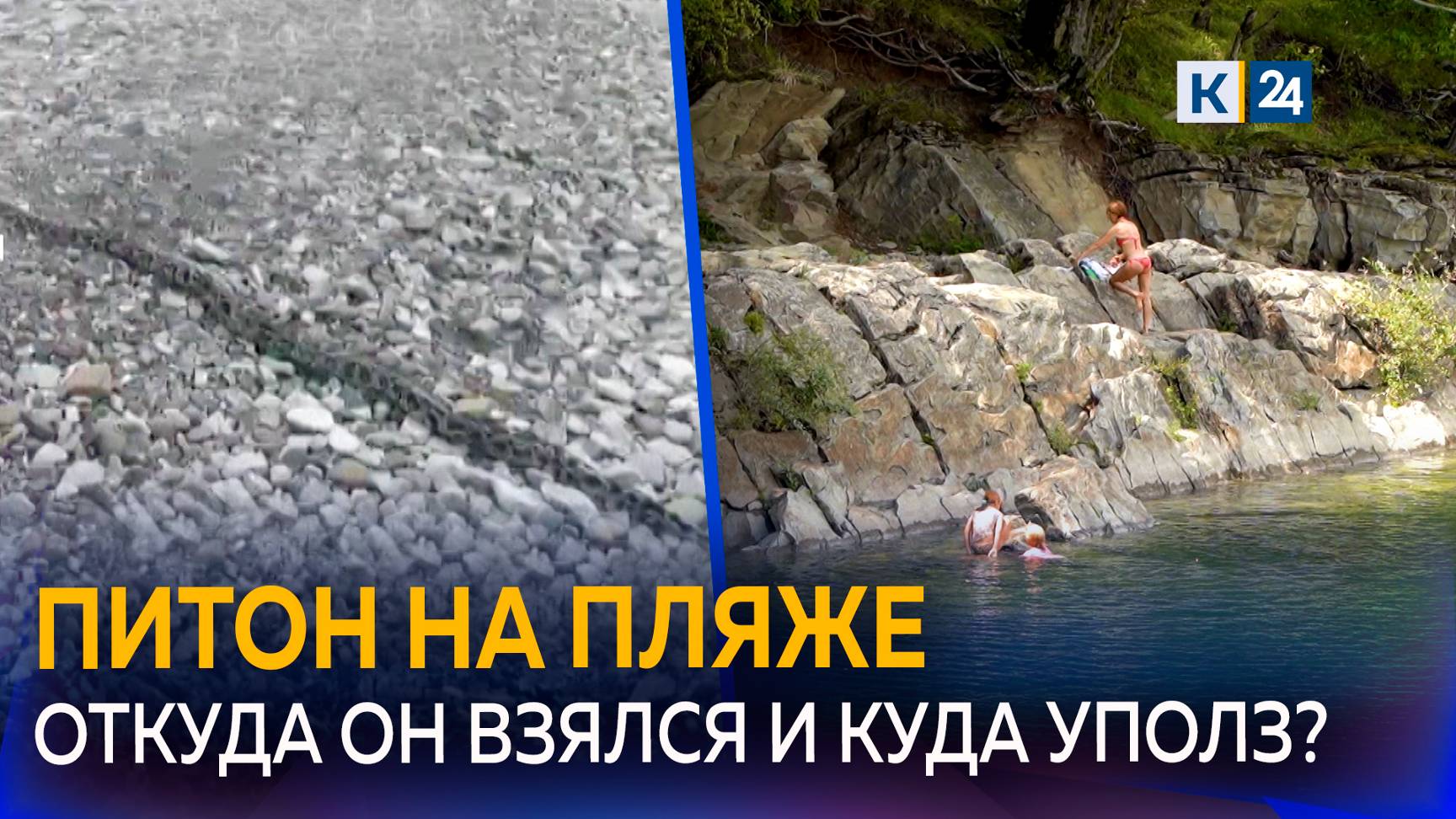 Экзотический гость: как тигровый питон оказался на пляже в Туапсинском районе смотреть онлайн