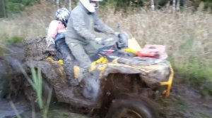 Стелс Гепард 800 и Стелс Леопард 600 в болоте.