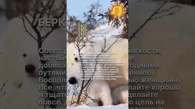 Значения руны БЕРКАНА читайте в комментариях смотреть онлайн