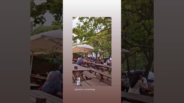 Ресторан Карл и Фридрих, на крестовском, ураган смотреть онлайн