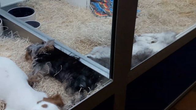 Париж Франция, Мец | Часть 5 смотреть онлайн