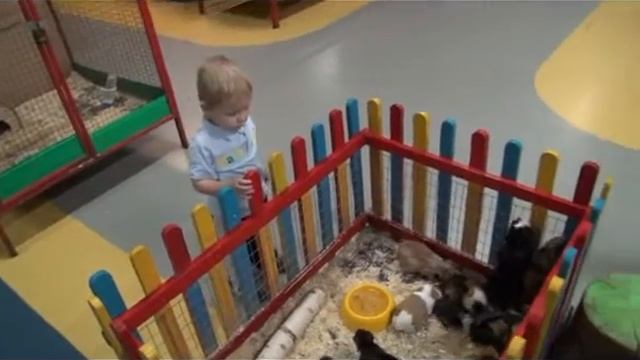 ГНОМЫ ЛИЛИПУТИКИ смотреть онлайн