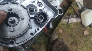 сцепление карпаты