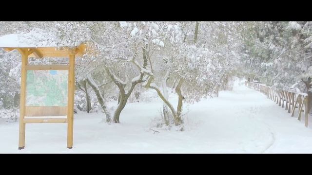 Outside the Wardrobe [Narnia] смотреть онлайн