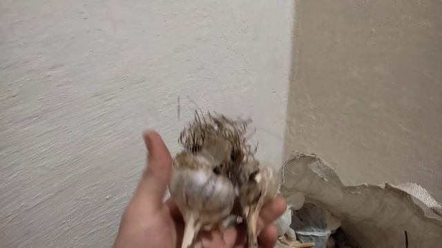 Навели порядок в погребе. Плов в казане. смотреть онлайн