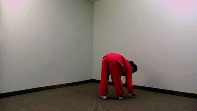 YiJinJing Form 9 Dragon Claw смотреть онлайн