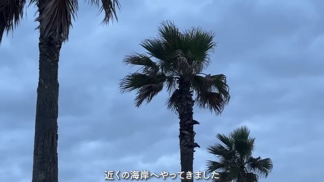 ある日過去と真剣に向き合った独身女。静かな海辺でひとり車中泊キャンプ смотреть онлайн