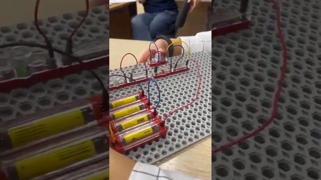 10 ноября 2023 г.