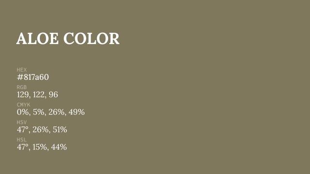 Aloe color #817a60 hex color - Yellow color - Cool color 817a60 смотреть онлайн
