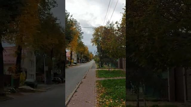 ПРОГУЛКА по ул.СТРЕЛЕЦКОЙ Владимир. смотреть онлайн