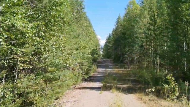 прокатились на ниве и сурфе по тайге и насобирали металлолом. дёргаем сурфа нивой смотреть онлайн