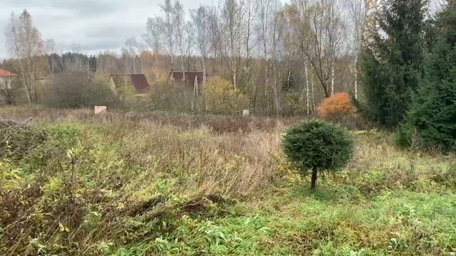 Видео 1590 смотреть онлайн