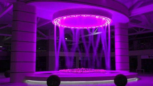 Candy Duffer - Lily Was Here