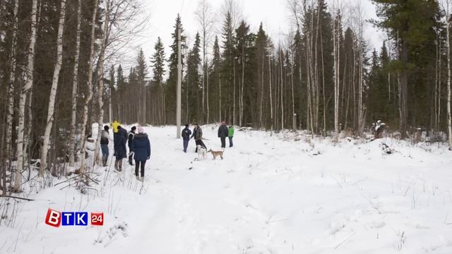 Подготовка лыжной трассы к зимнему сезону смотреть онлайн