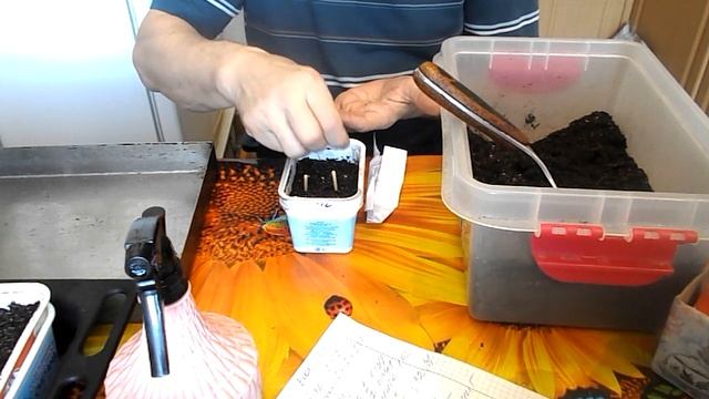 ПОСАДКА ТОМАТОВ ,ОГУРЦОВ И КАБАЧКА НА РАССАДУ смотреть онлайн