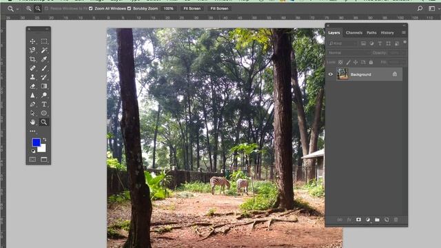 Fungsi ZOOM TOOL Pada Adobe Photoshop смотреть онлайн