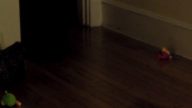 Pumpkin meets the Angry Birds (and a green pig) смотреть онлайн