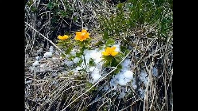 И это время называется весна)