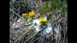 И это время называется весна)