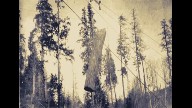 Country boy can survive REMIX ( THE LOGGER'S SONG ) смотреть онлайн