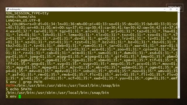 How to use the env command: 2-Minute Linux Tips смотреть онлайн