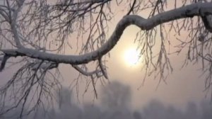 Песня русские зимы до чего ж красивы!