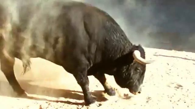 Легенда 17 сэмпл смотреть онлайн