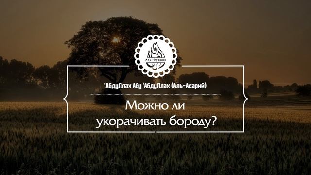 Можно ли укорачивать бороду? смотреть онлайн