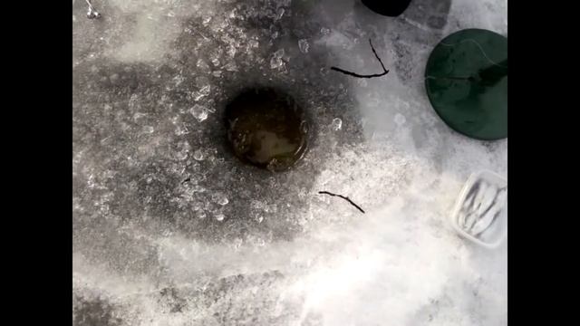 Судак на Пироговском ВДХР смотреть онлайн