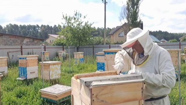 Проверяю магазины на наличие меда в них смотреть онлайн
