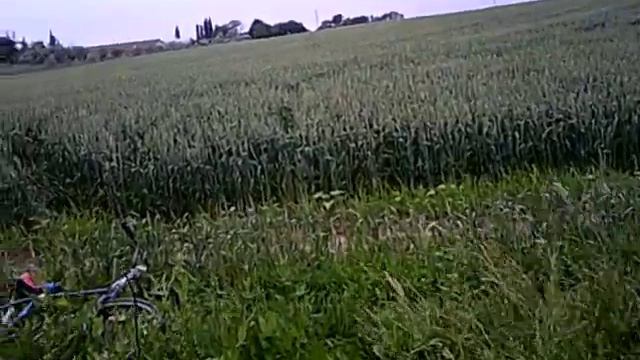 большая кубань смотреть онлайн