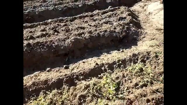 Итог ночного заморозка(первая часть) смотреть онлайн