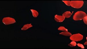 По аллеям ночью луной  Романо Караоке (Цыганское Караоке)