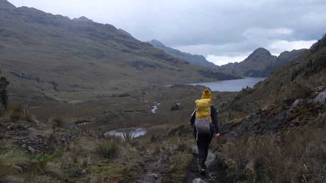 I QUIT My Job to Solo Travel the World смотреть онлайн