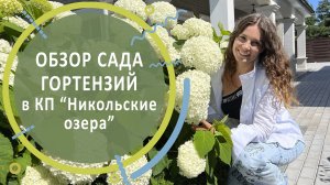 Обзор сада гортензий в КП «Никольские озера»