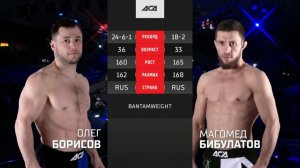 АСА 138 Олег Борисов vs Магомед Бибулатов Обзор на Бой Борисов vs Бибулатов ACA 138