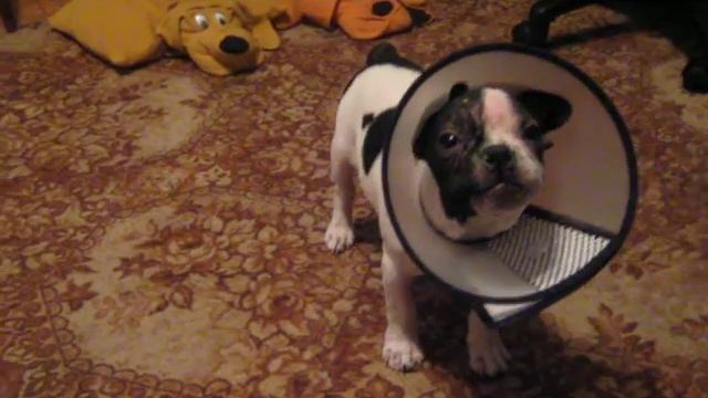 Переговоры