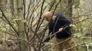 28 Рейтинг Баженова Могло быть хуже Терпение и трут