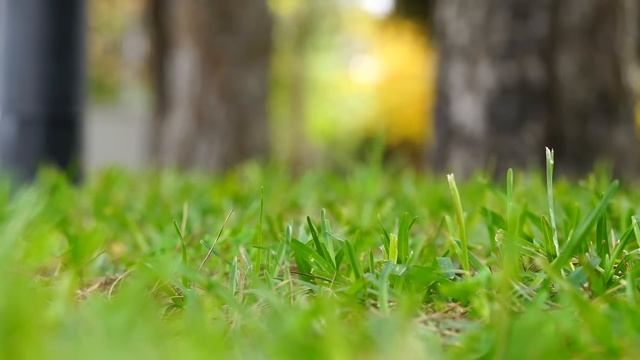 В день 70-летия дети прилетели к старенькой маме в деревню. Но когда она поняла, для чего собрались смотреть онлайн