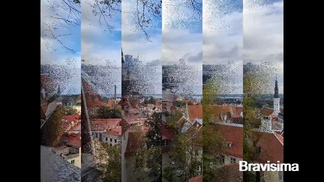 #экскурсия Экскурсия в Таллин // Excursion To Tallin