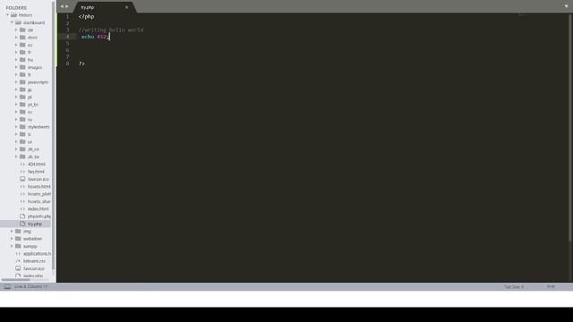 Conditional Instruction and loop in PHP language | RK | Aqib Ali смотреть онлайн