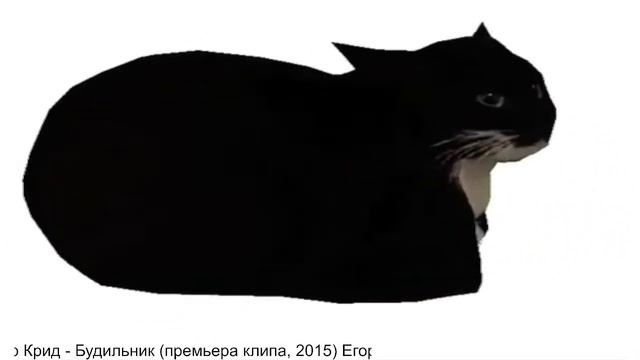 CatSpin Radio RU (в начале 18+) смотреть онлайн