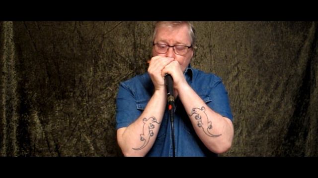 Bright Lights, Big City - Jimmy Reed blues cover - Harmonica Hawk - Hering 1923 Vintage Harp, Low смотреть онлайн