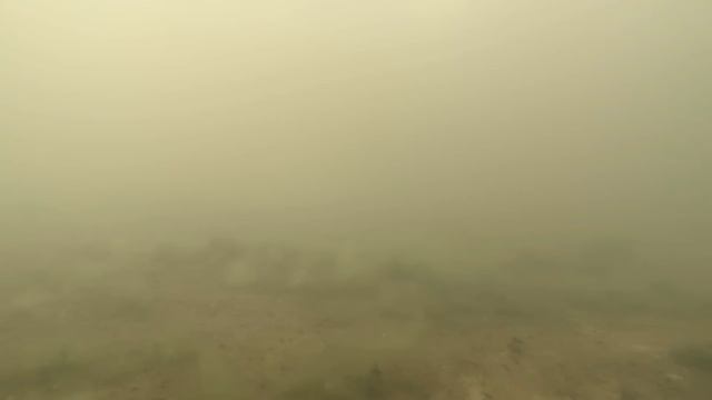 Чаша полная форели 3 смотреть онлайн