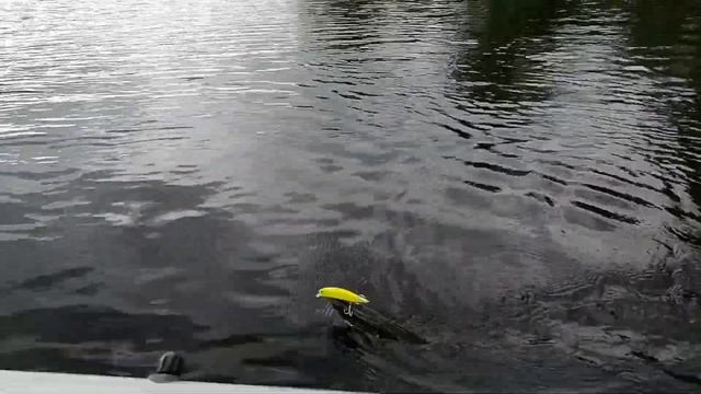 Ловля щуки летом! Выход щуки вечером, вечерний жор щуки! Ловля щуки на воблер с лодки! смотреть онлайн