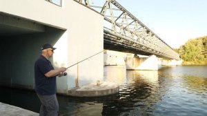 Сплит шот от А до Я.