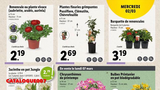 LIDL CATALOGUE PLANTES & FLEURS ARRIVAGE DE LA SEMAINE DU 2, 4 et 7 MARS 2022 смотреть онлайн