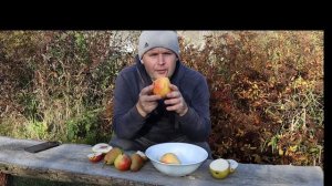 Обзор осенних сортов груши. Лесная красавица, Талгарская красавица, Мраморная, Татьяна, Ника.