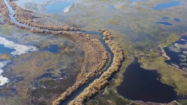 Заказник "Кабанский" смотреть онлайн