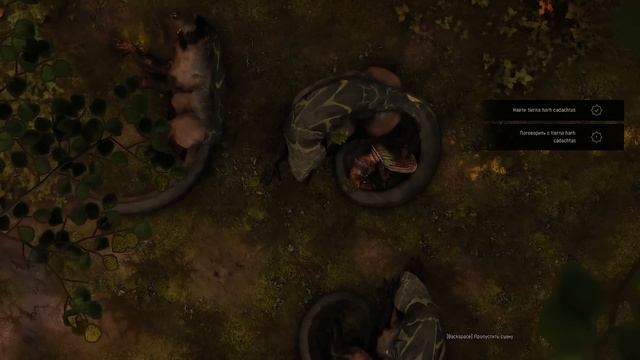 BioWare, в сад! Обзор Greedfall